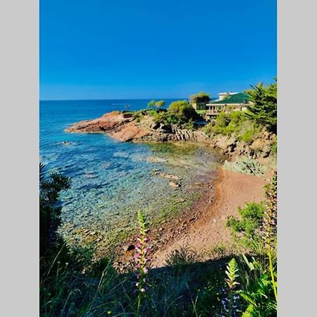 Apartmán Antheor - Vue Exceptionnelle - Refait A Neuf 4 Couchages Saint-Raphaël Exteriér fotografie