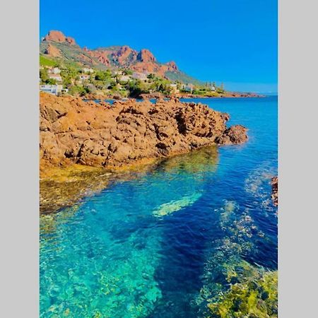 Apartmán Antheor - Vue Exceptionnelle - Refait A Neuf 4 Couchages Saint-Raphaël Exteriér fotografie