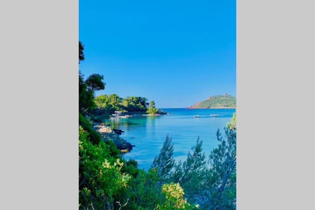 Apartmán Antheor - Vue Exceptionnelle - Refait A Neuf 4 Couchages Saint-Raphaël Exteriér fotografie