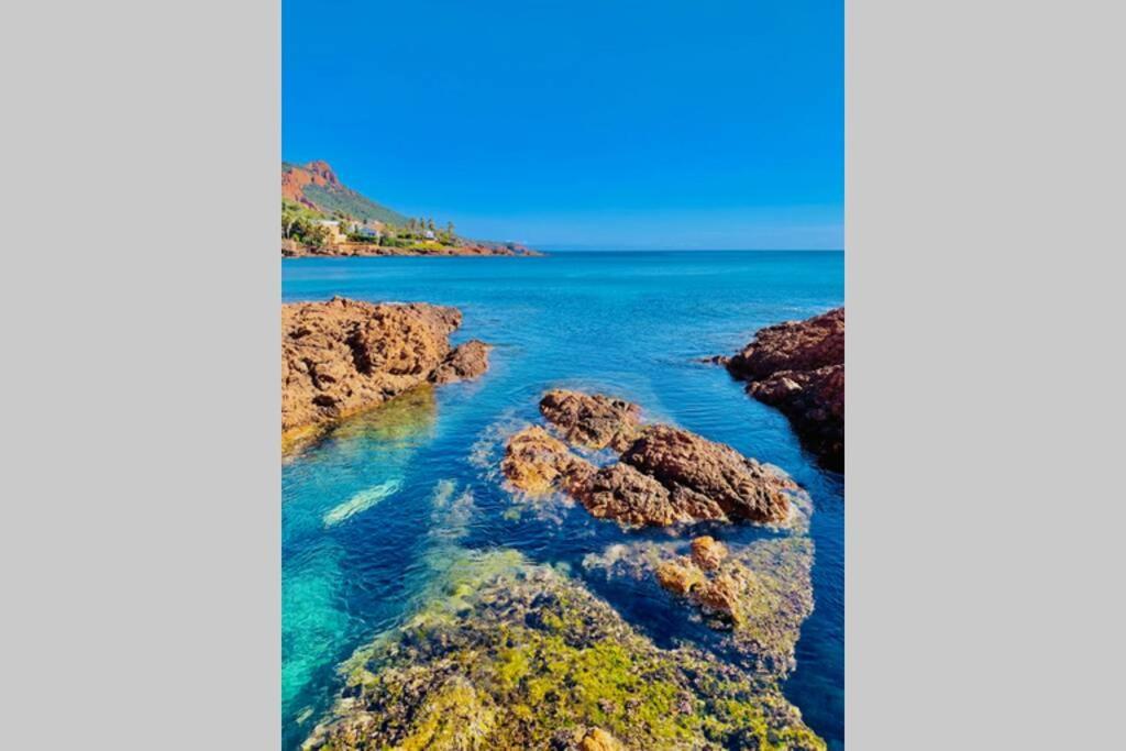 Apartmán Antheor - Vue Exceptionnelle - Refait A Neuf 4 Couchages Saint-Raphaël Exteriér fotografie