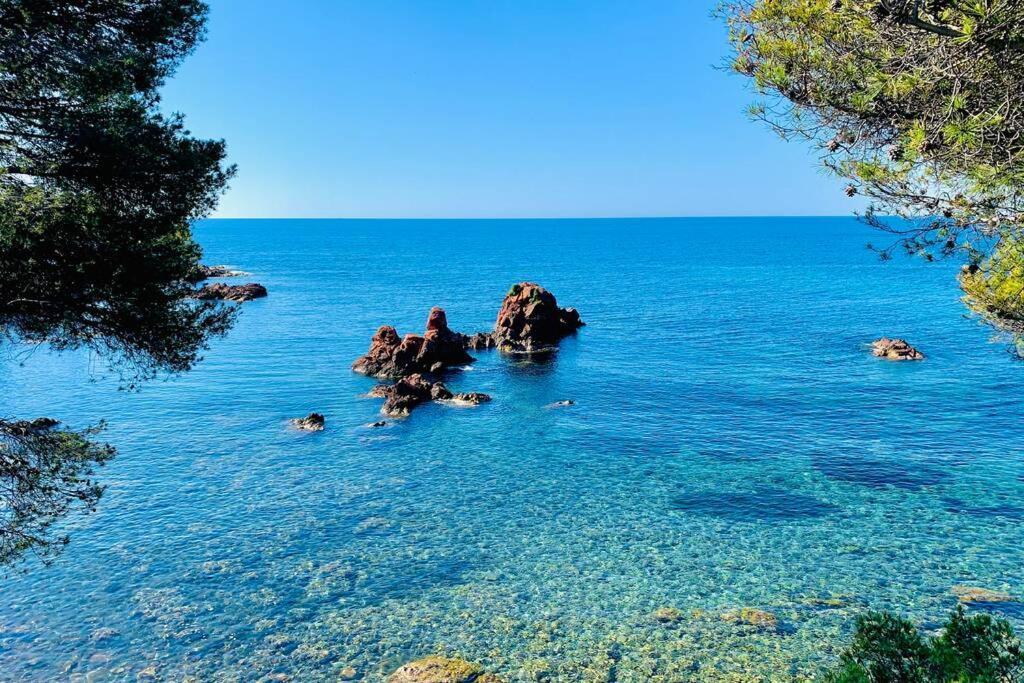 Apartmán Antheor - Vue Exceptionnelle - Refait A Neuf 4 Couchages Saint-Raphaël Exteriér fotografie
