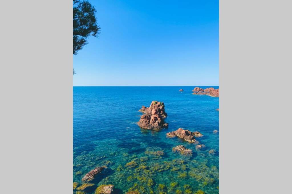 Apartmán Antheor - Vue Exceptionnelle - Refait A Neuf 4 Couchages Saint-Raphaël Exteriér fotografie