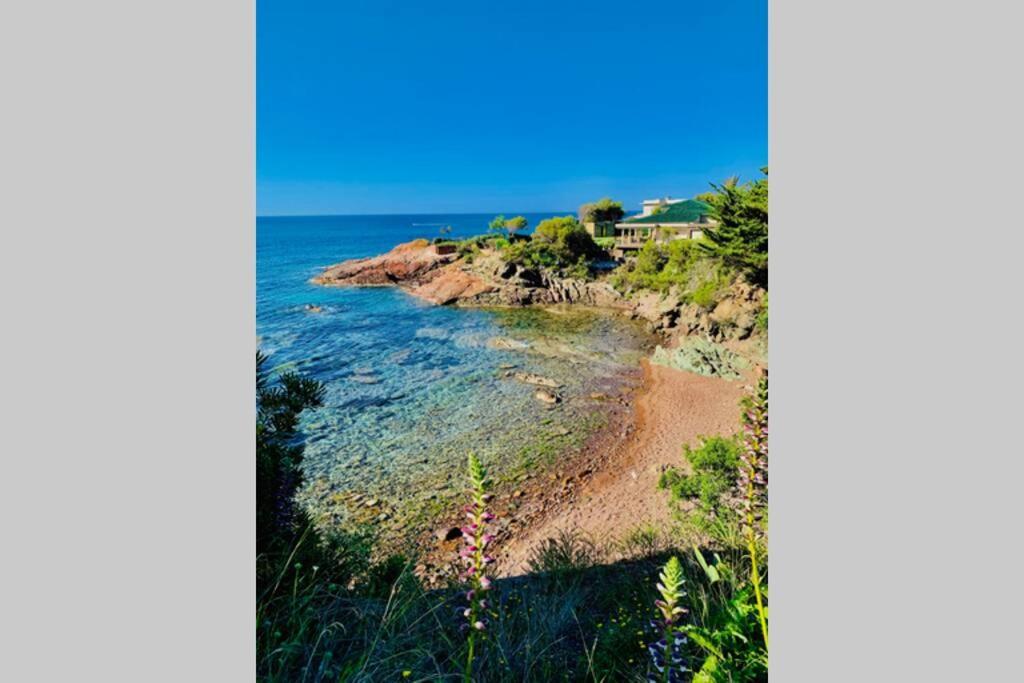 Apartmán Antheor - Vue Exceptionnelle - Refait A Neuf 4 Couchages Saint-Raphaël Exteriér fotografie