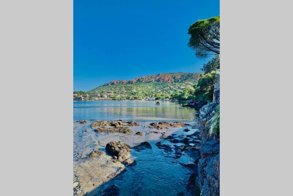Apartmán Antheor - Vue Exceptionnelle - Refait A Neuf 4 Couchages Saint-Raphaël Exteriér fotografie