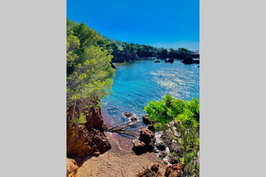 Apartmán Antheor - Vue Exceptionnelle - Refait A Neuf 4 Couchages Saint-Raphaël Exteriér fotografie